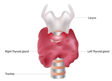 Laparoscopic Thyroid Lobectomy by OrangeCountySurgeons.org - 2